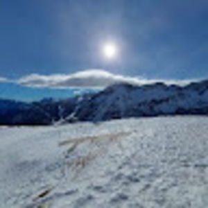 Meet your Posher, Alessandro